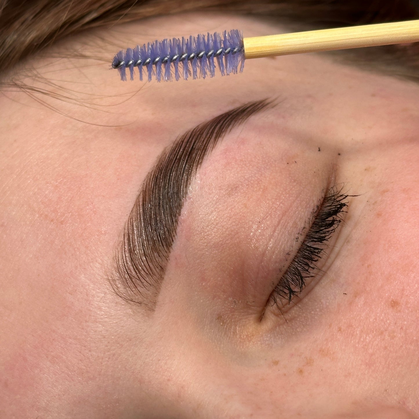 Browlift Course