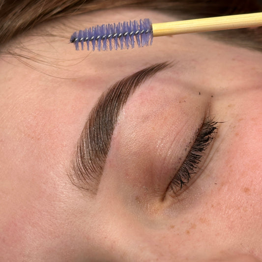 Browlift Course