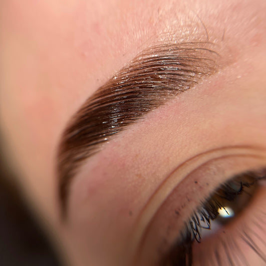 Browlift Course